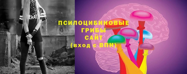 тгк Абаза