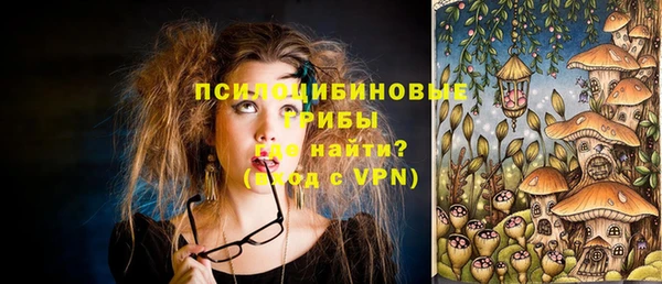 спиды Алексеевка