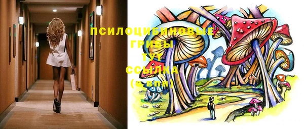 тгк Абаза