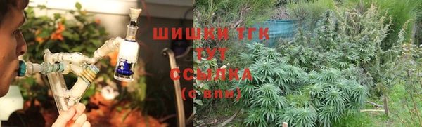 тгк Абаза