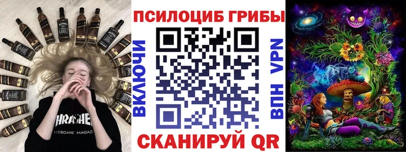купить  сайты  Кяхта  Псилоцибиновые грибы ЛСД 